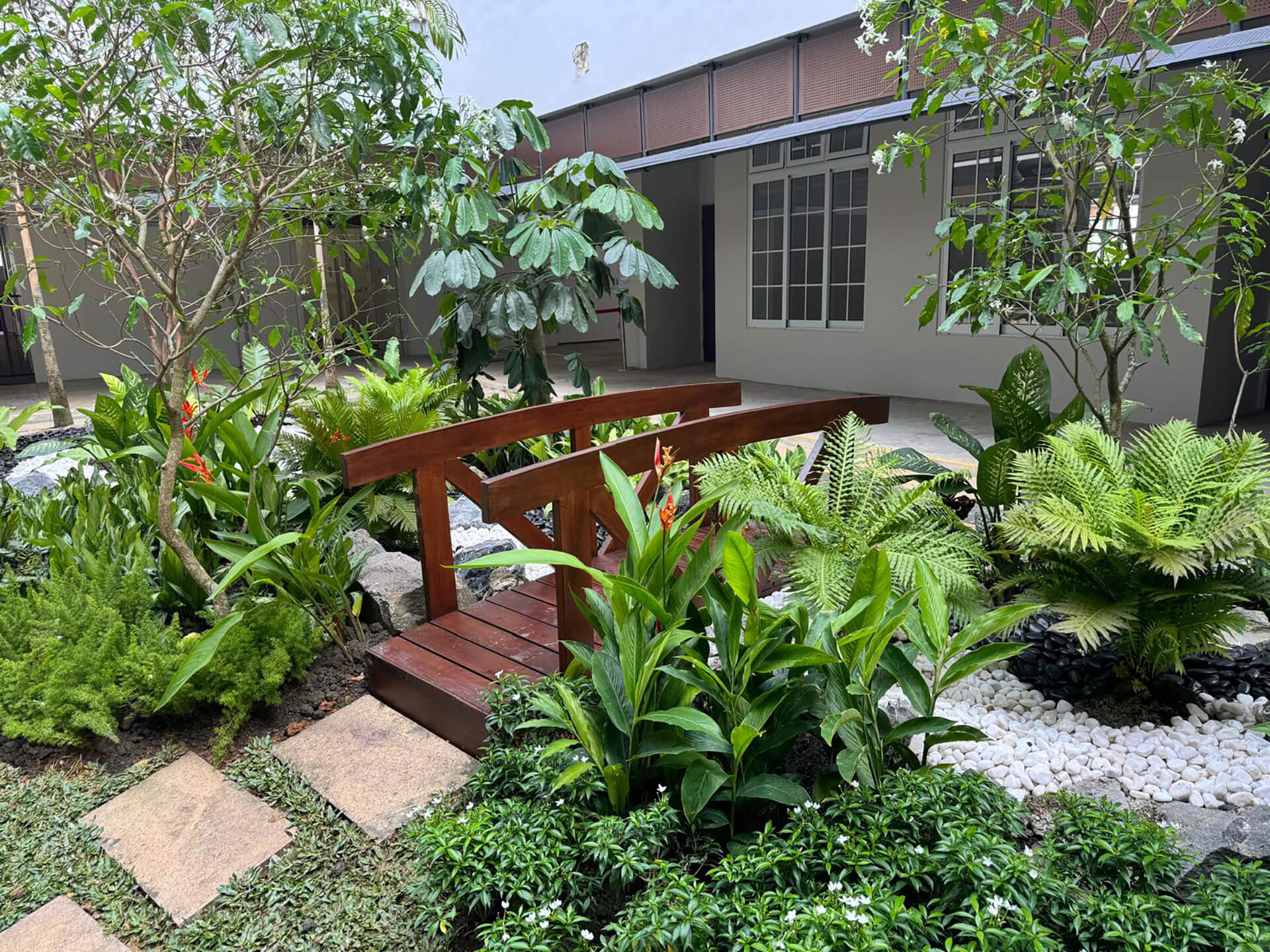Img Eco Forest